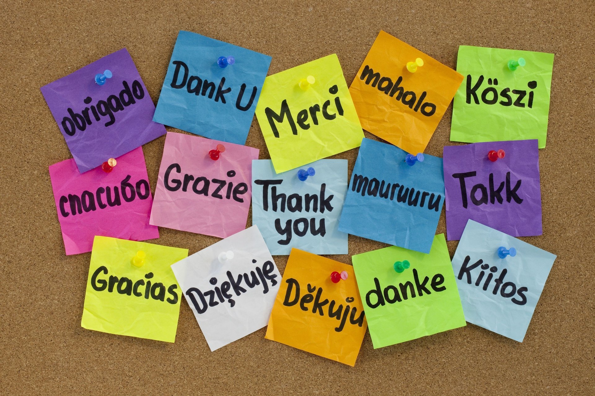 gracias idiomas thank you set pizarra botones multicolor pegatinas texturas