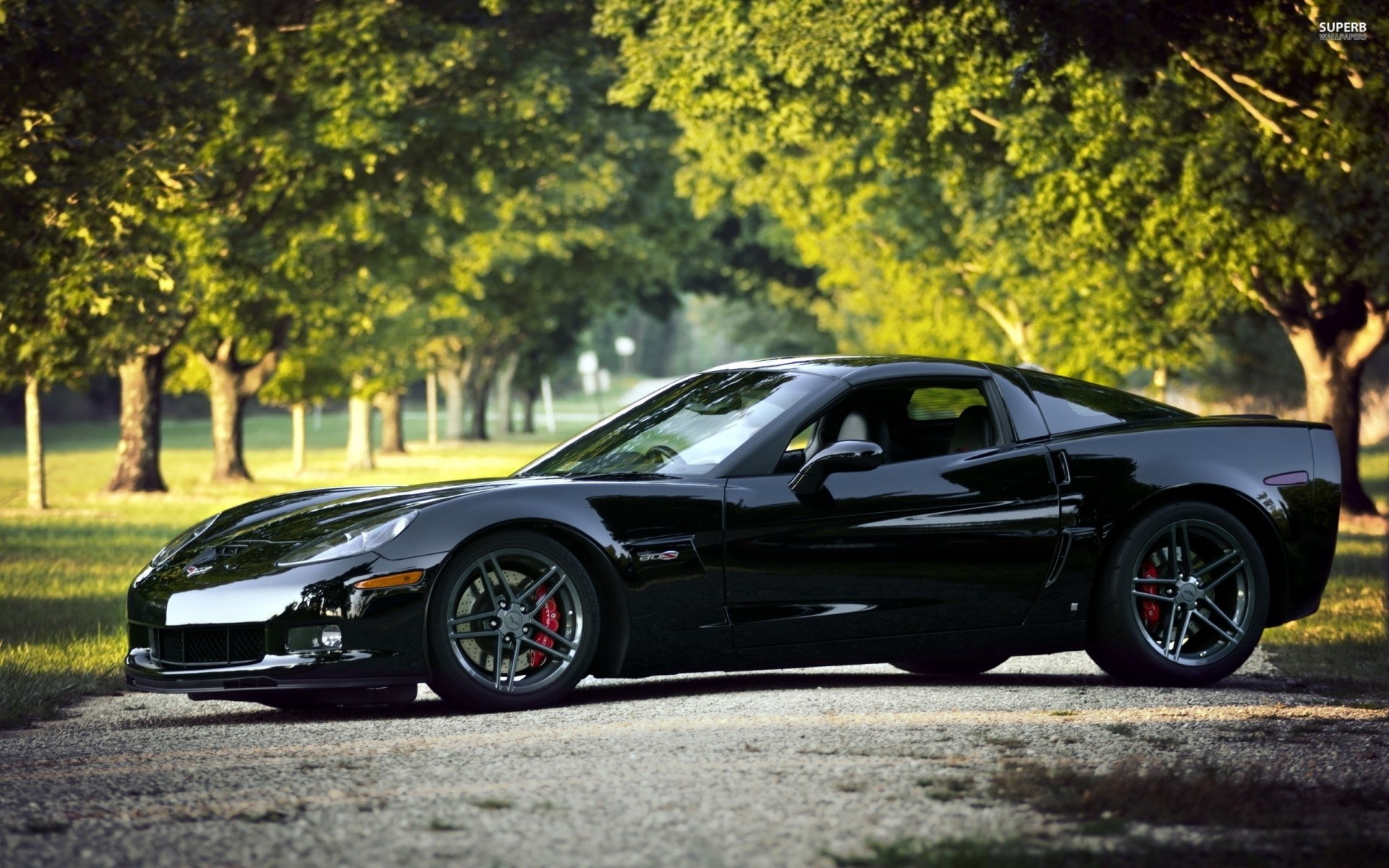 car nature chevrolet corvette black