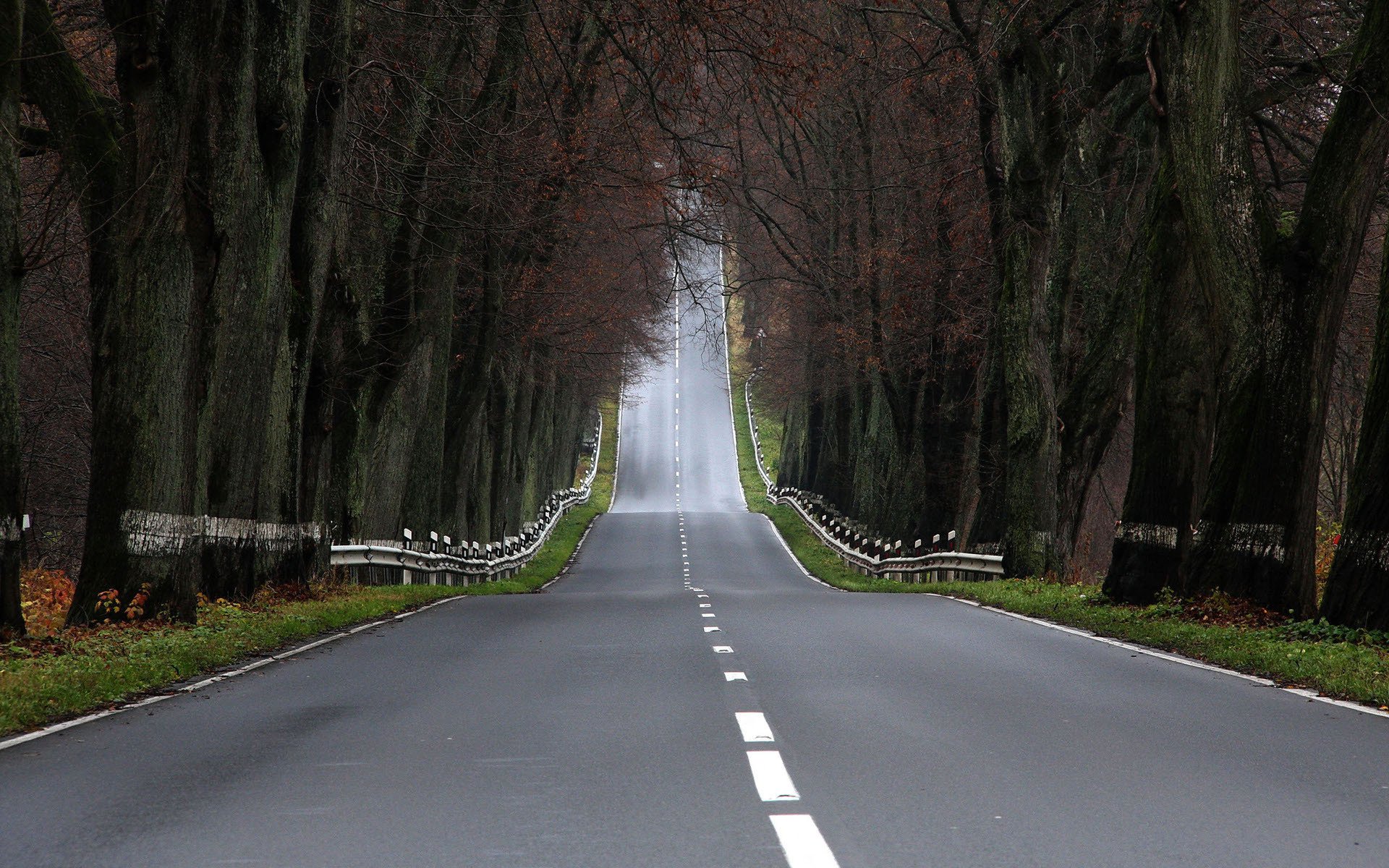 landschaft straße straße wald bäume fotos aufstieg herbst markierung asphalt wald zaun