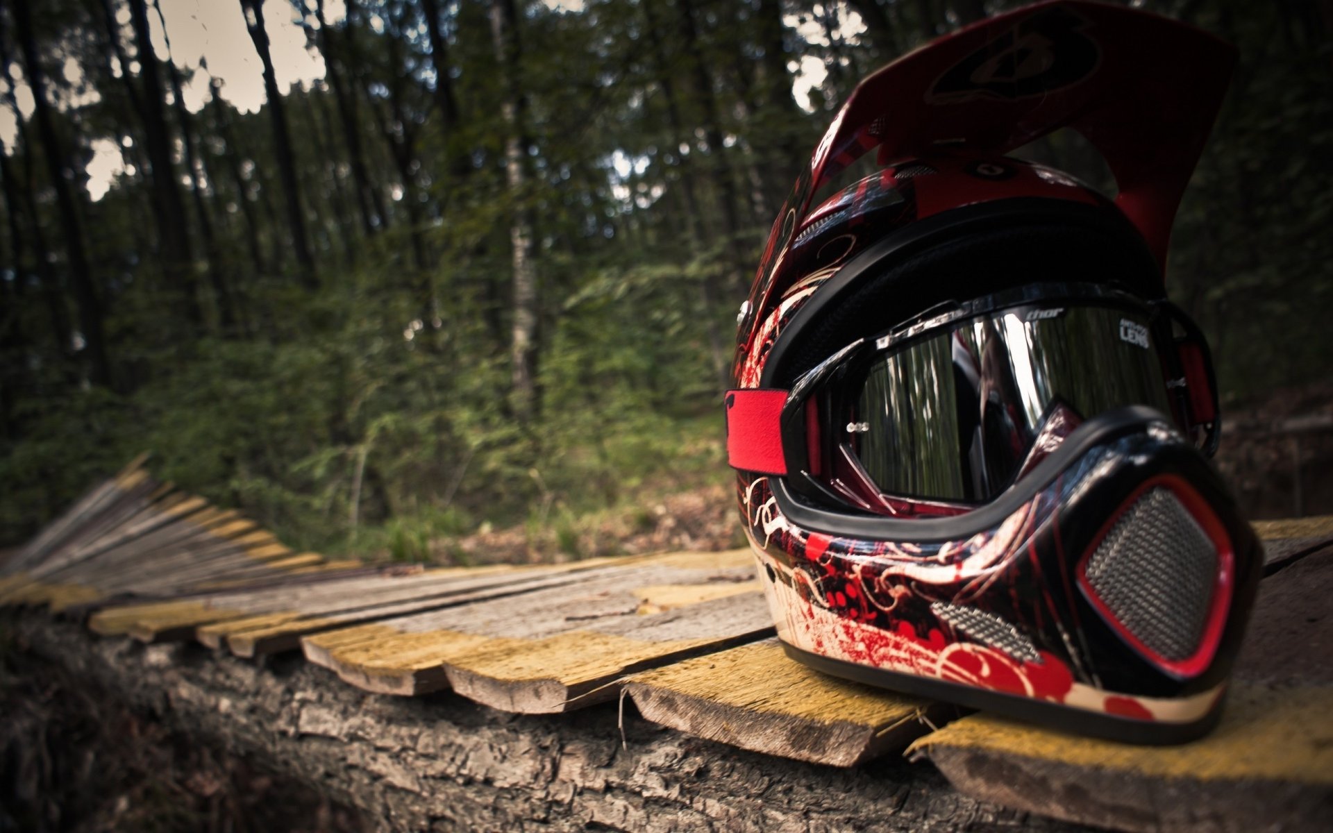 casco bicicleta de montaña bosque pista deportes extremo tablas árboles trucos macro