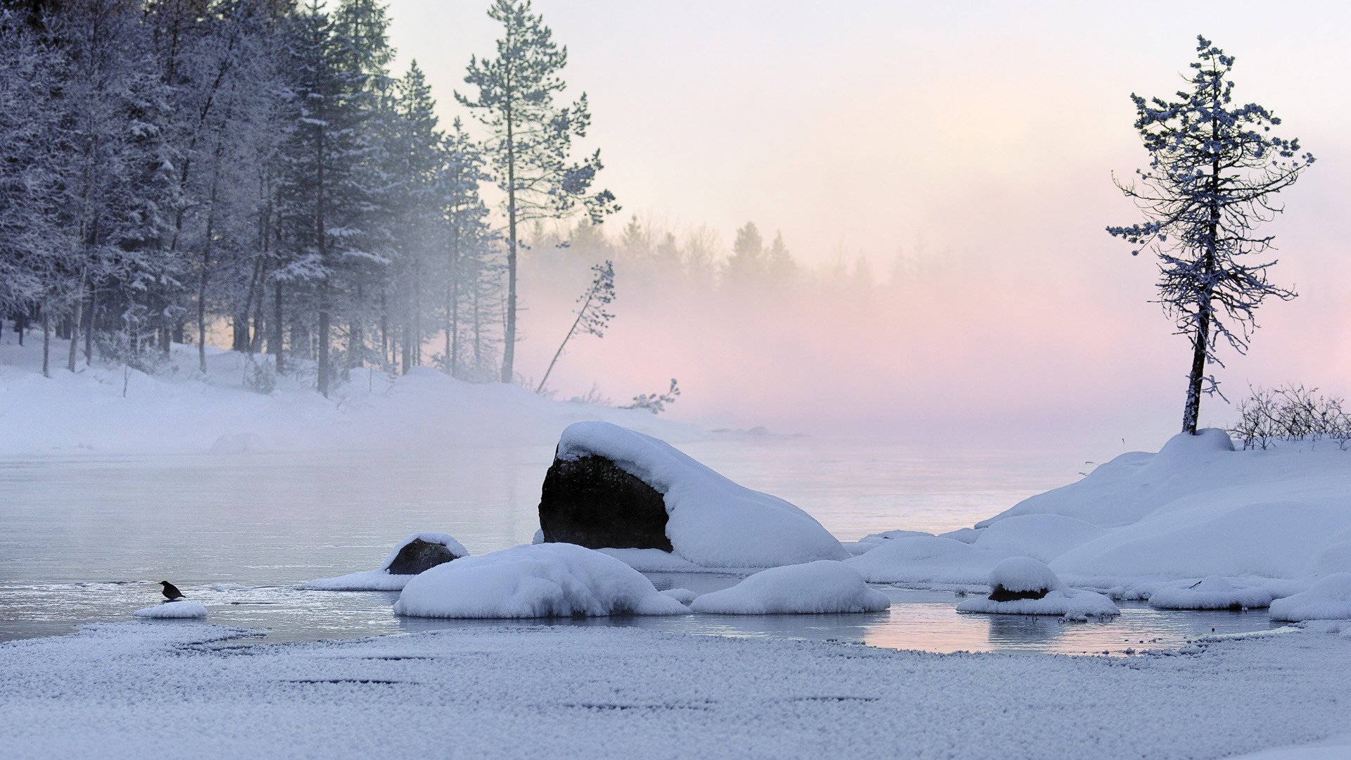 nature congère brume rose neige hiver froid neige forêt glace fonte