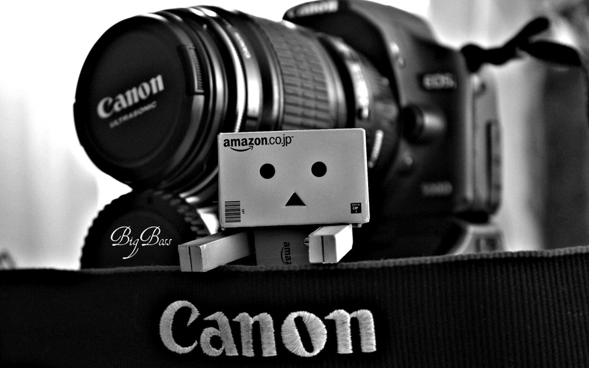 danbo canon aparat pudełko sprzęt fotograficzny foto aparaty