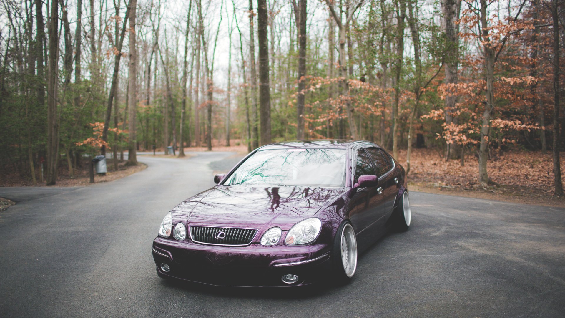 lexus gs430 lexus forêt arbres