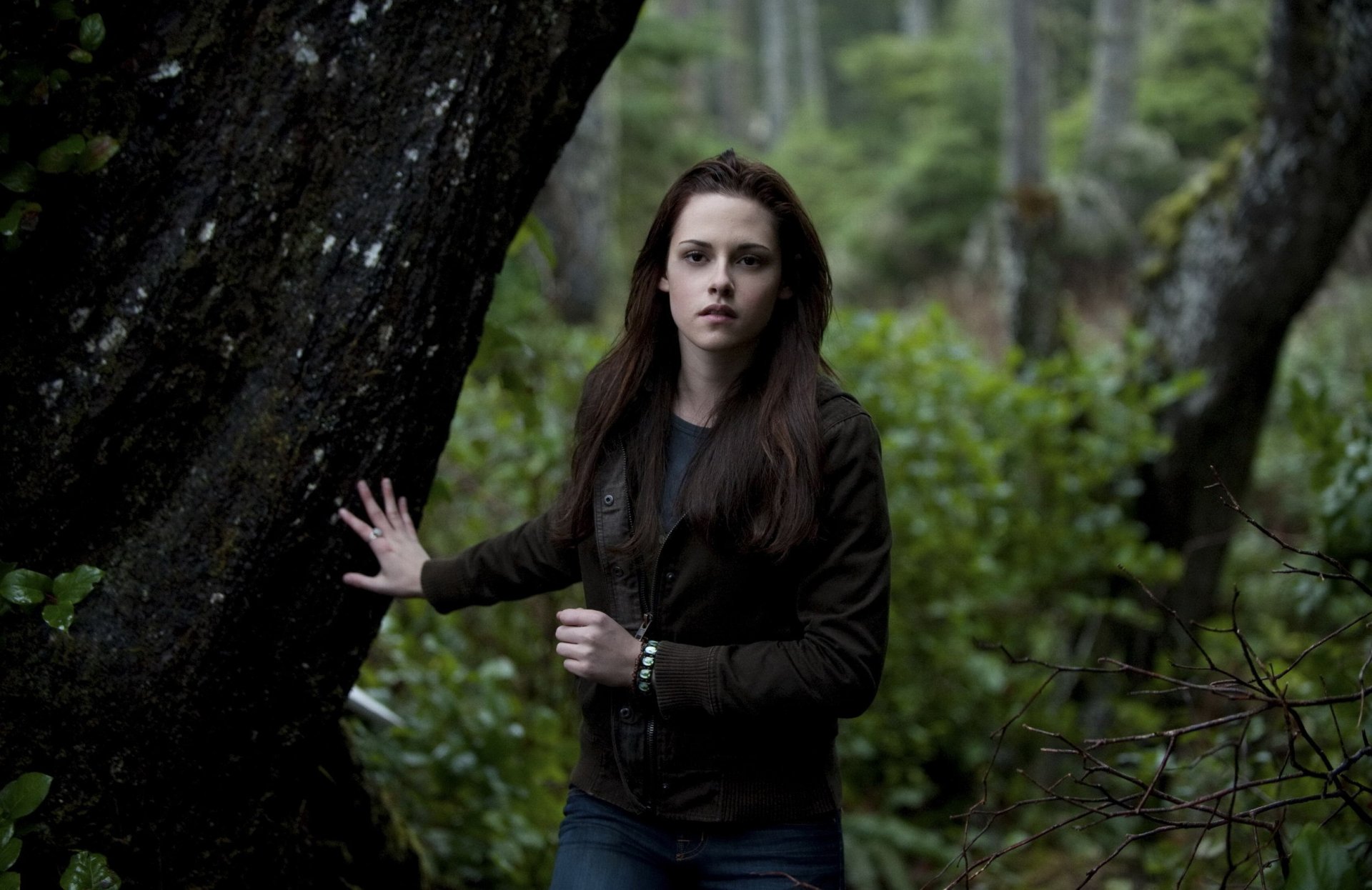 kristen stewart bella actress movie twilight forest women face