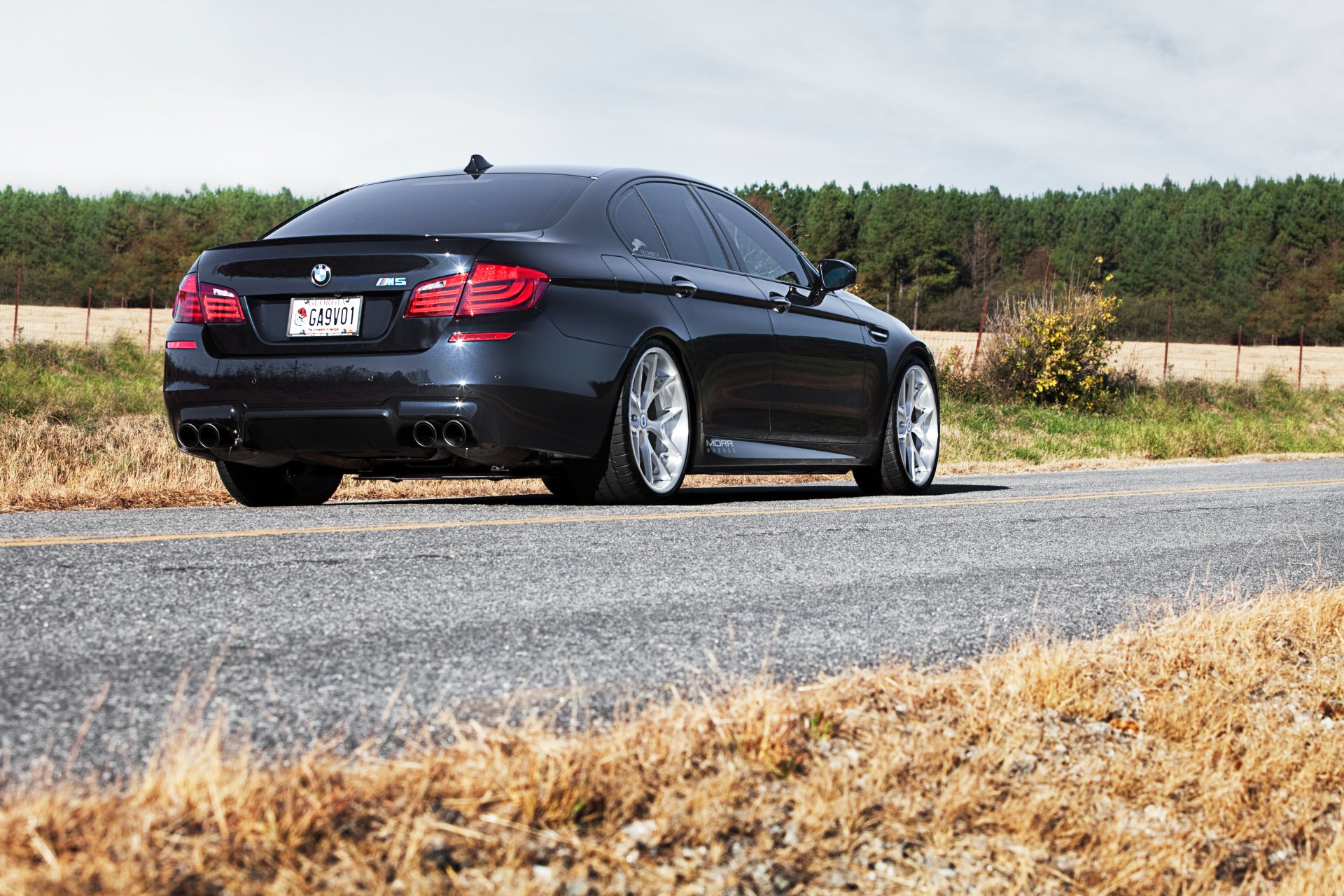 bmw m5 f10 black bmw rear glare sky tree