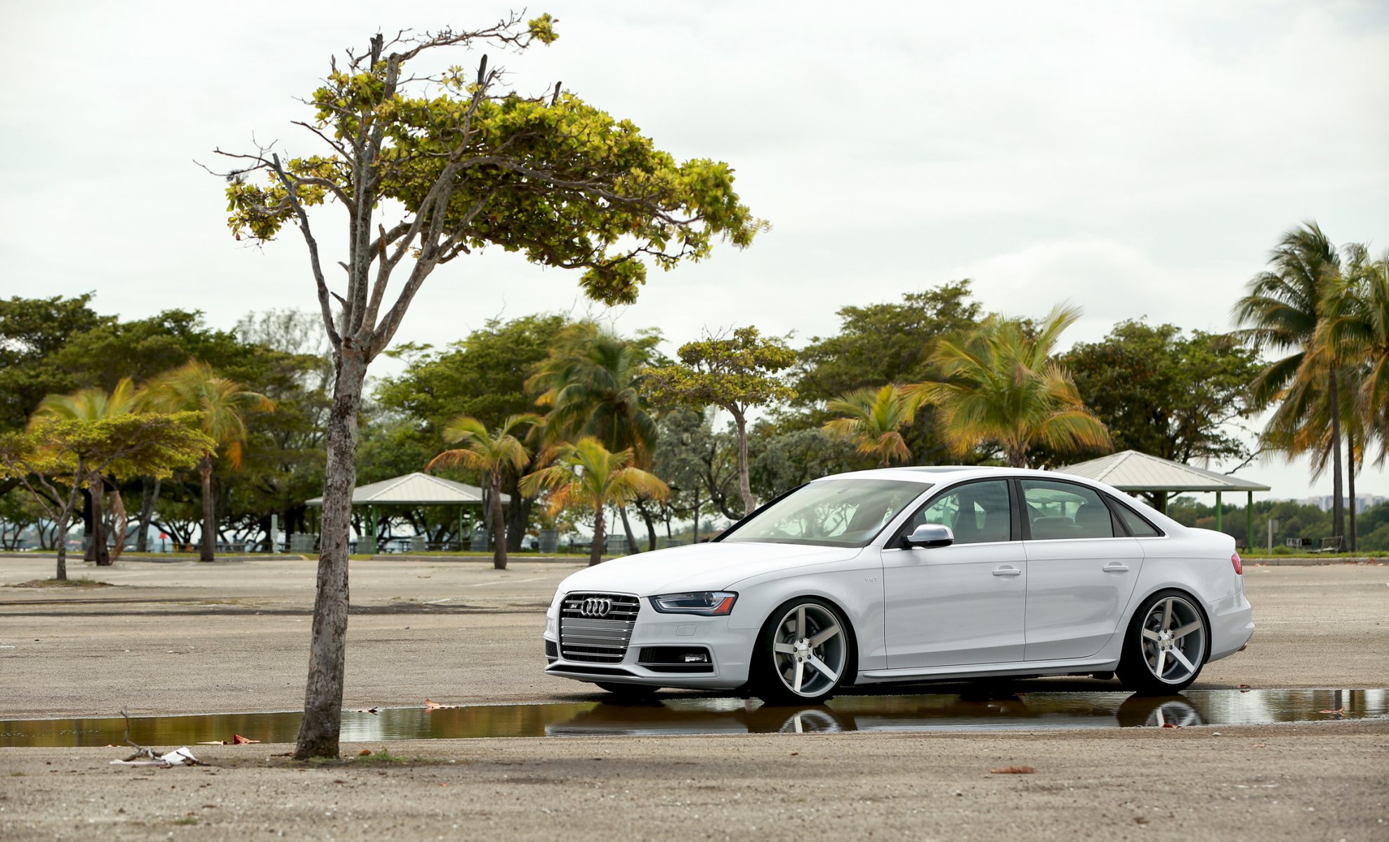 audi a4 audi white vossen