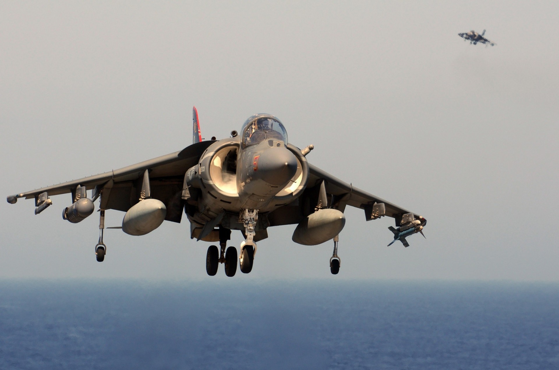 harrier harrier usa