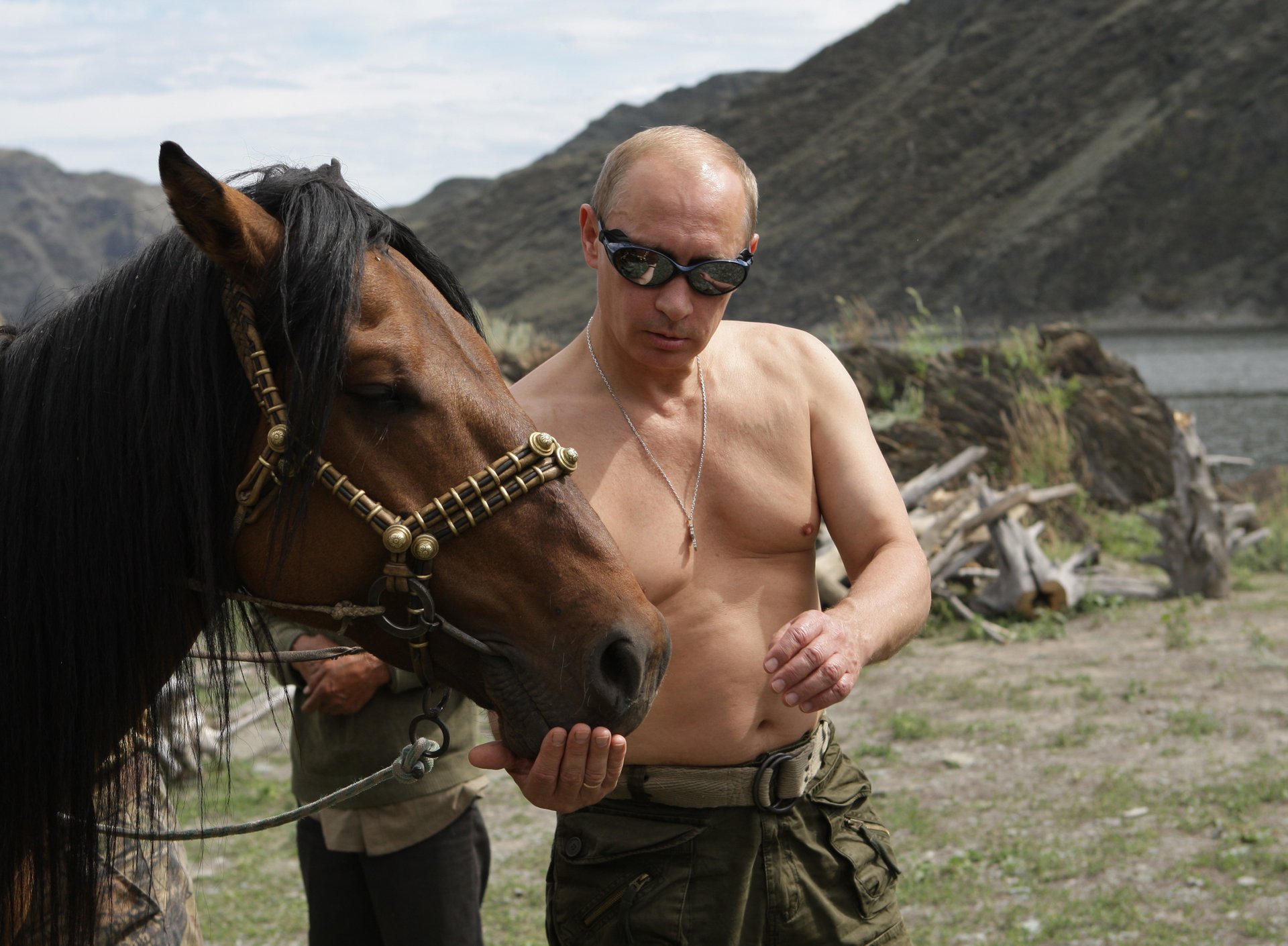 vladimir putin the president of russia prime minister of russia horse nature putin mountains wallpaper policy animals ungulates horses face glasses chestnut