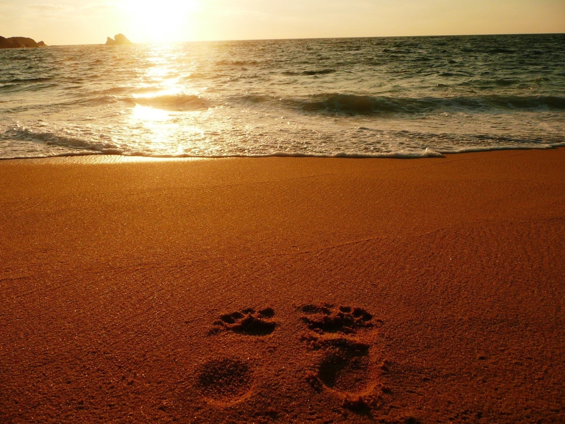 and sea the ocean traces sunset beach nature shore horizon water