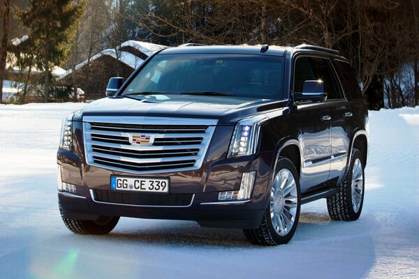 Cadillac Escalade im Winter auf Schnee