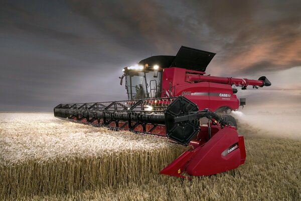 Red combine harvester harvests in the field