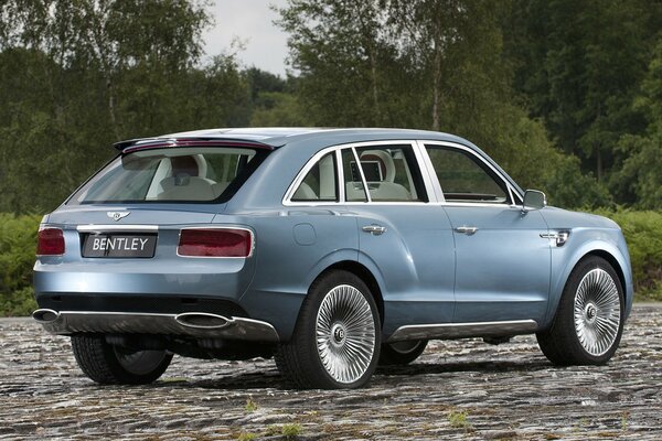 Belle voiture sur fond d arbres verts