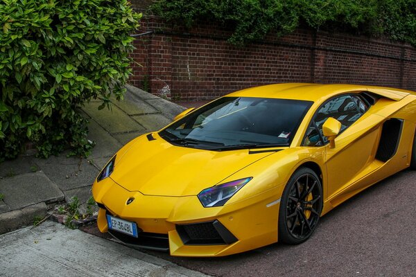 Yellow Lamborghini in the yard near a private house