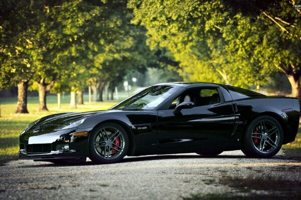 Black Chevrolet car in nature