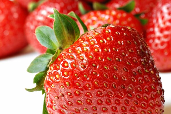 Fraise juteuse sur fond blanc