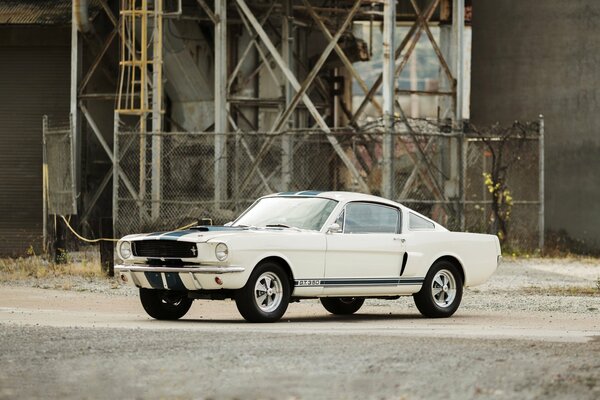 Ford Mustang gt350, 1966 Blanco Shelby