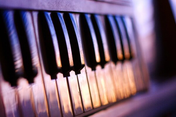 Instrument de musique: touches de piano