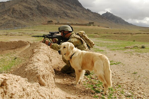 Ein Hund und ein Soldat schützen das Gebiet