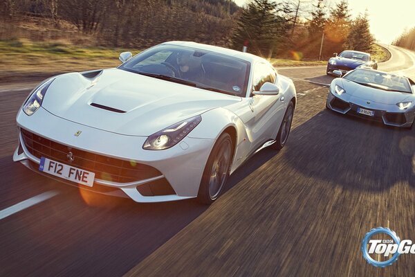 Course de supercars. Vitesse. Bande forestière