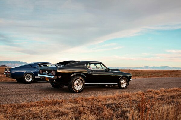 Rennwagen Mustang auf dem Foto