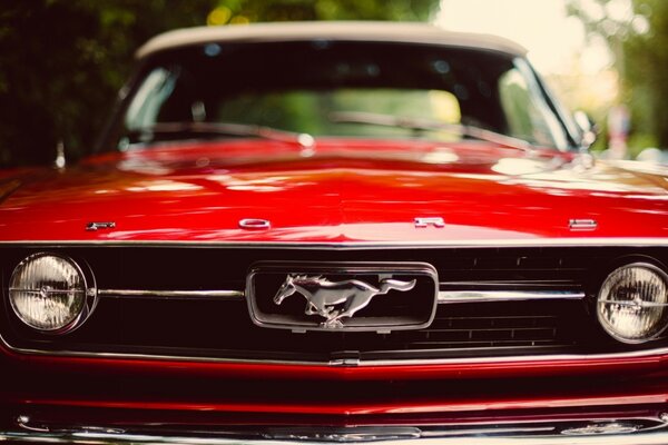 Rotes Auto ford Mustang