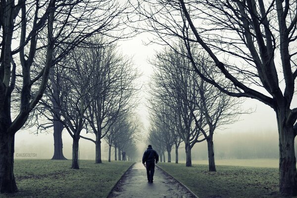 Ein Mann spaziert im Nebel durch die Gasse