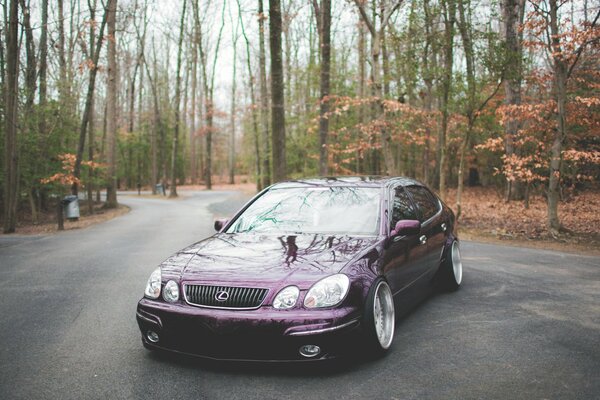 Lexus se encuentra en el camino en el bosque. Detrás de él hay árboles