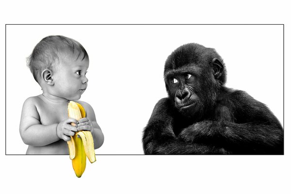 Imagen en blanco y negro de un niño con un plátano de color y un gorila