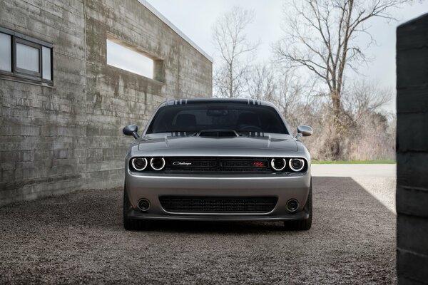 Dodge Challenger en el muro de hormigón deporte 2015