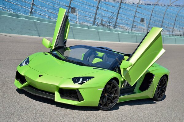 Lamborghini Aventador verde con porte aperte