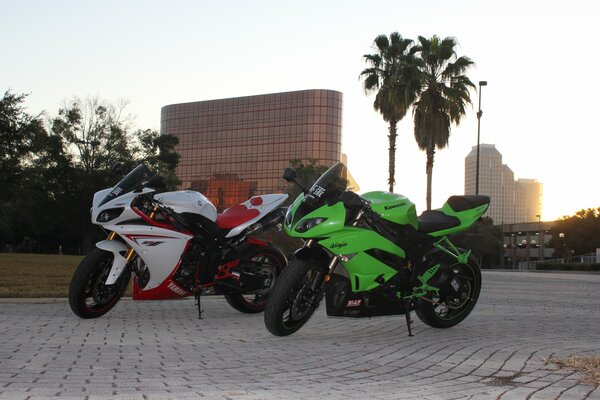 Yamaha and kawasaki stand in the city against the background of palm trees