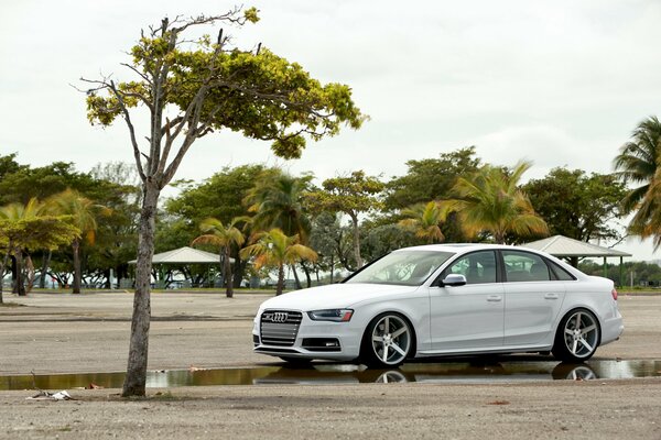 White audi expensive car