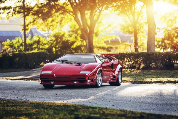 Lamborghini countatch rot