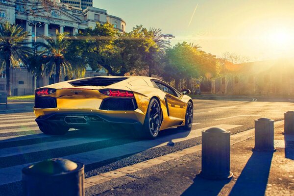 Hacia el sol en un Lamborghini amarillo