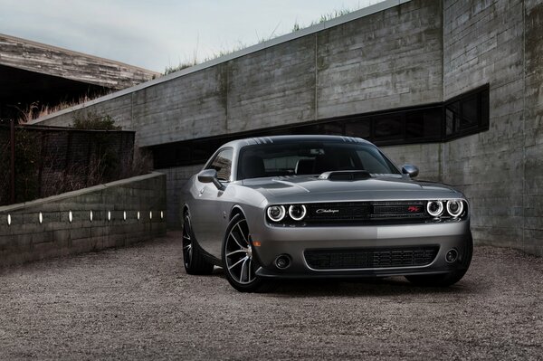 Silver Dodge Challenger sous le pont