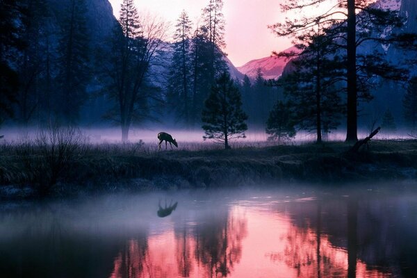 Un lago avvolto nella nebbia prima dell alba