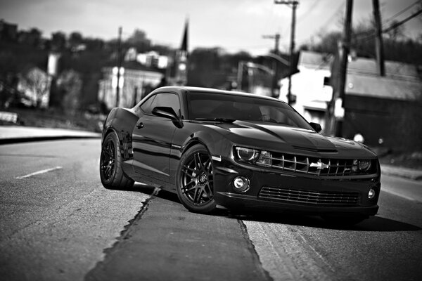 Photographie en noir et blanc d une Chevrolet Camaro