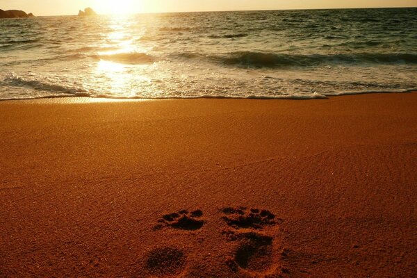 Spuren im Sand am Meer bei Sonnenuntergang