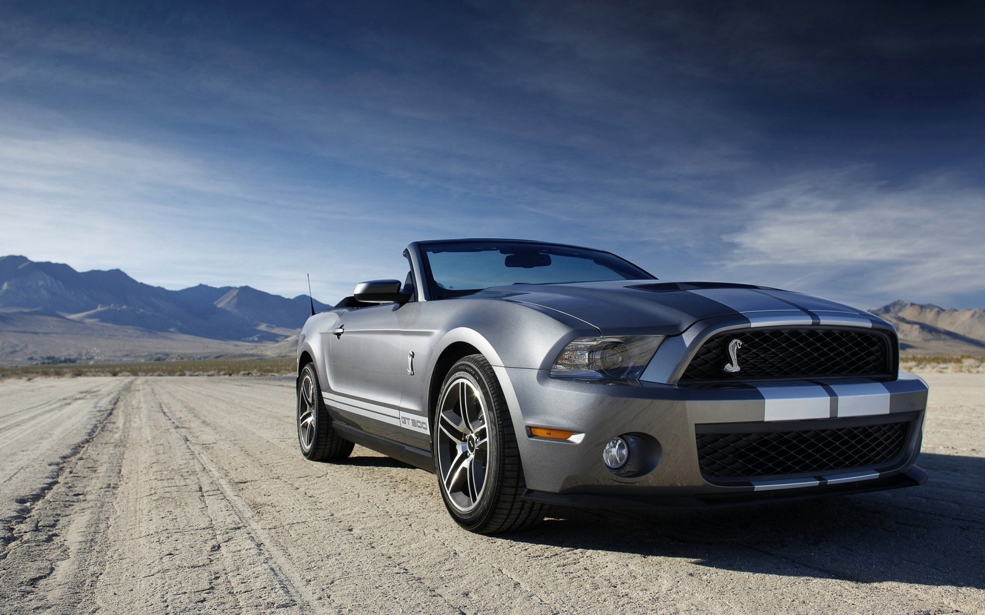 mustang ciel shelby ford