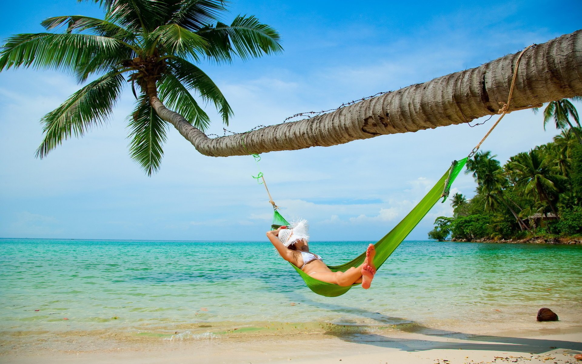 umore vacanza vacanza estate spiaggia persone palma cappello acqua sabbia amaca verde oceano ragazza piedi esotico