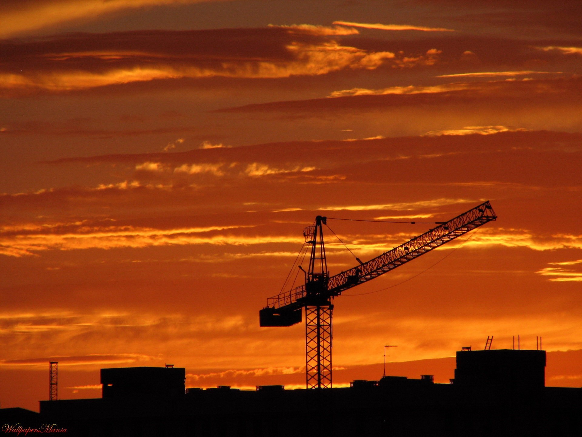 construcción grúa puesta de sol