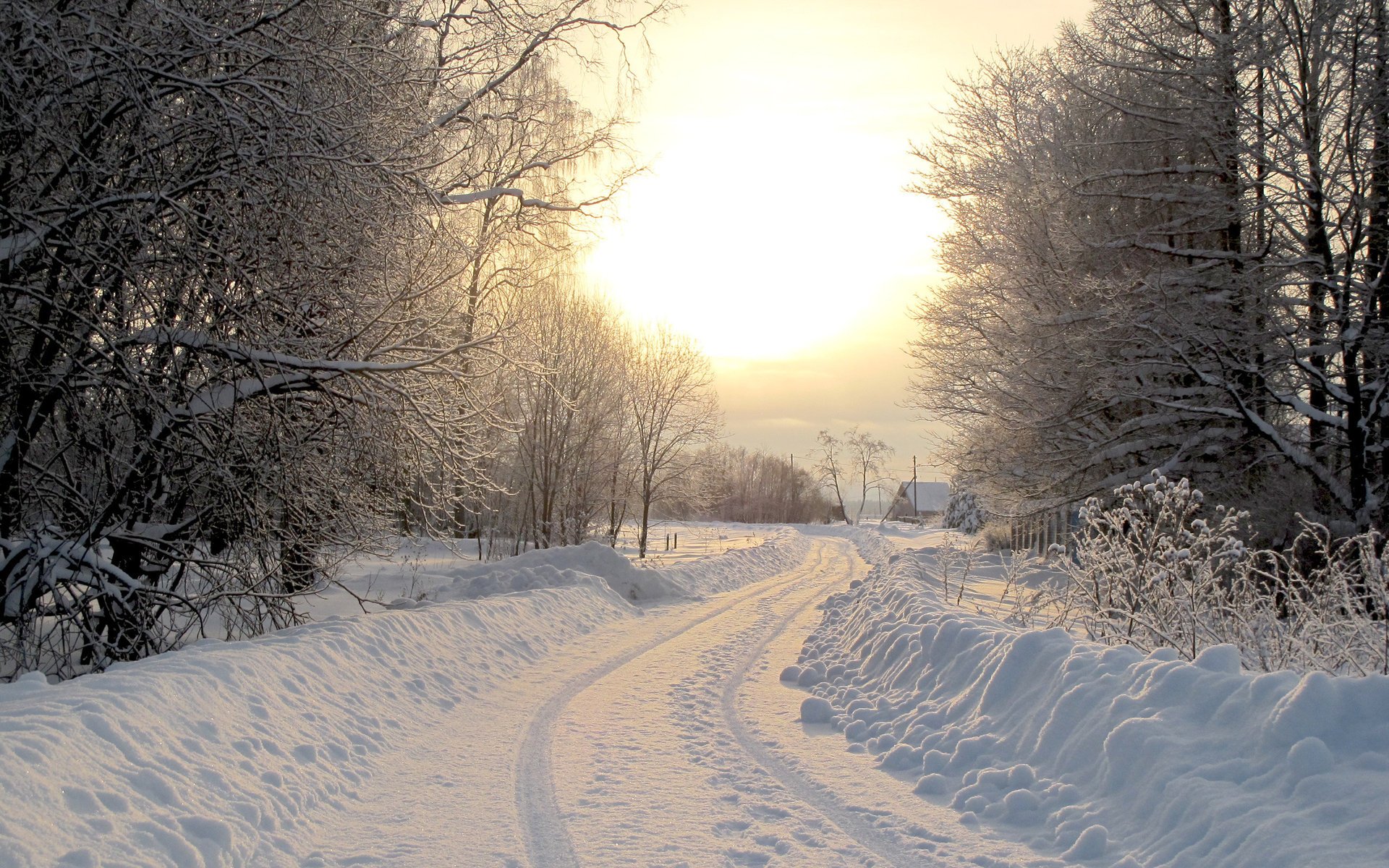 nature paysages maisons hiver routes fonds d écran d hiver arbres arbre route forêts photo neige maisons froid soleil