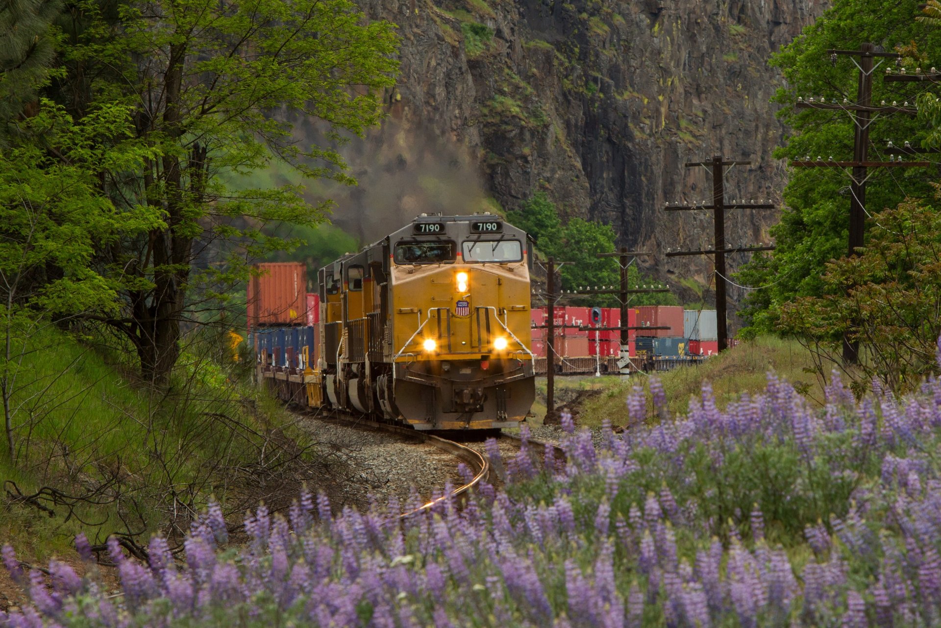 train chemin de fer locomotive rails nature