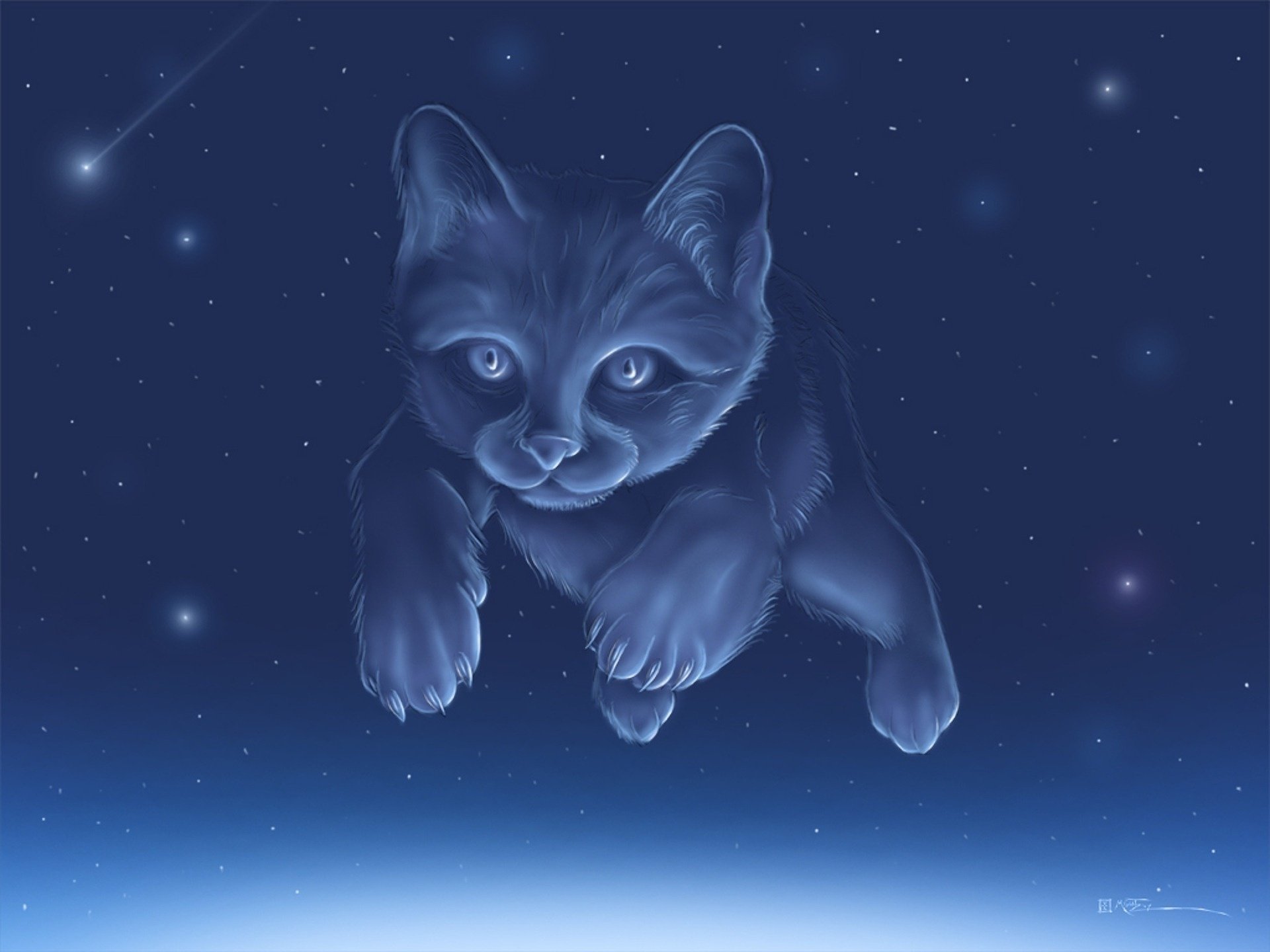 cat constellation sky gaze feline