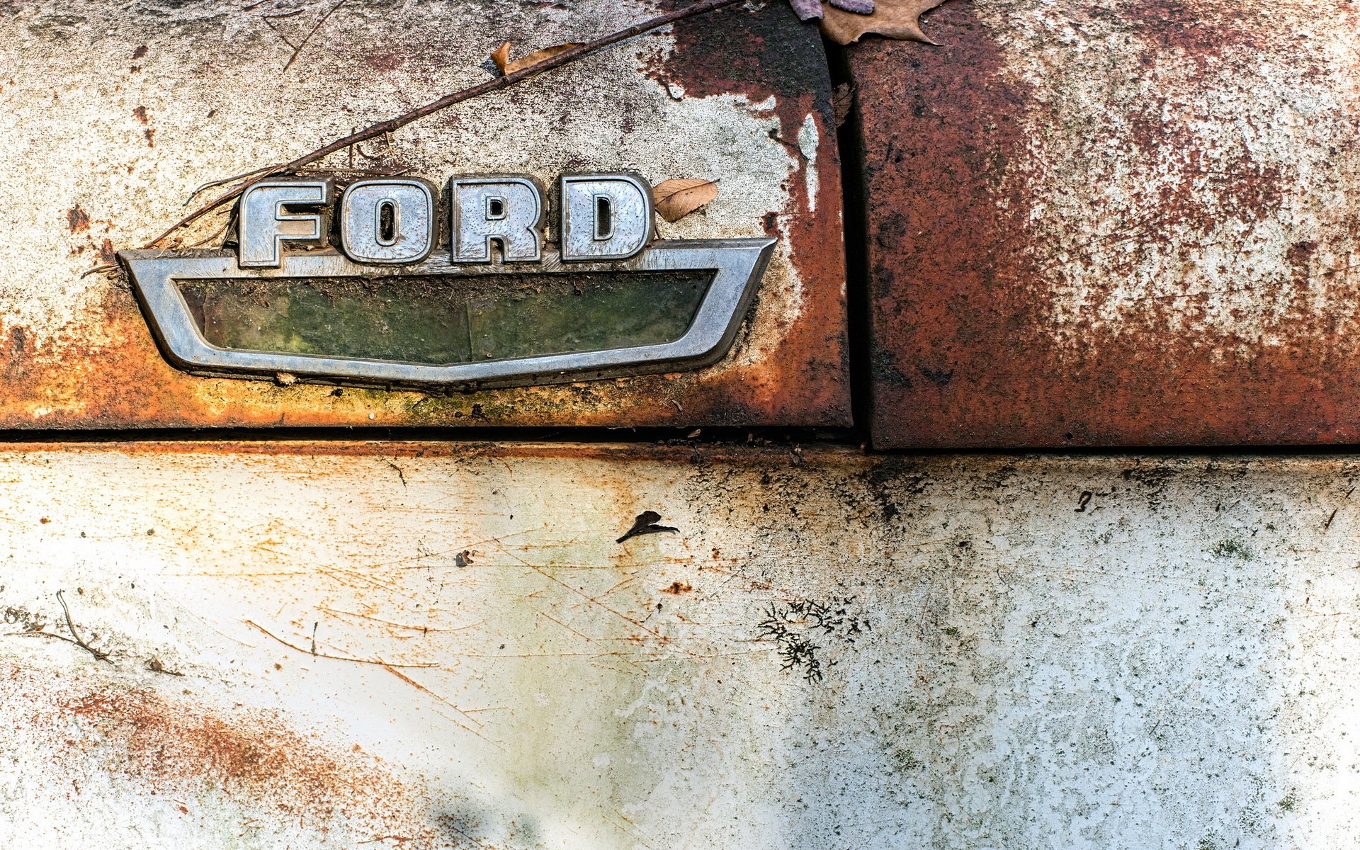 ford signe gros plan