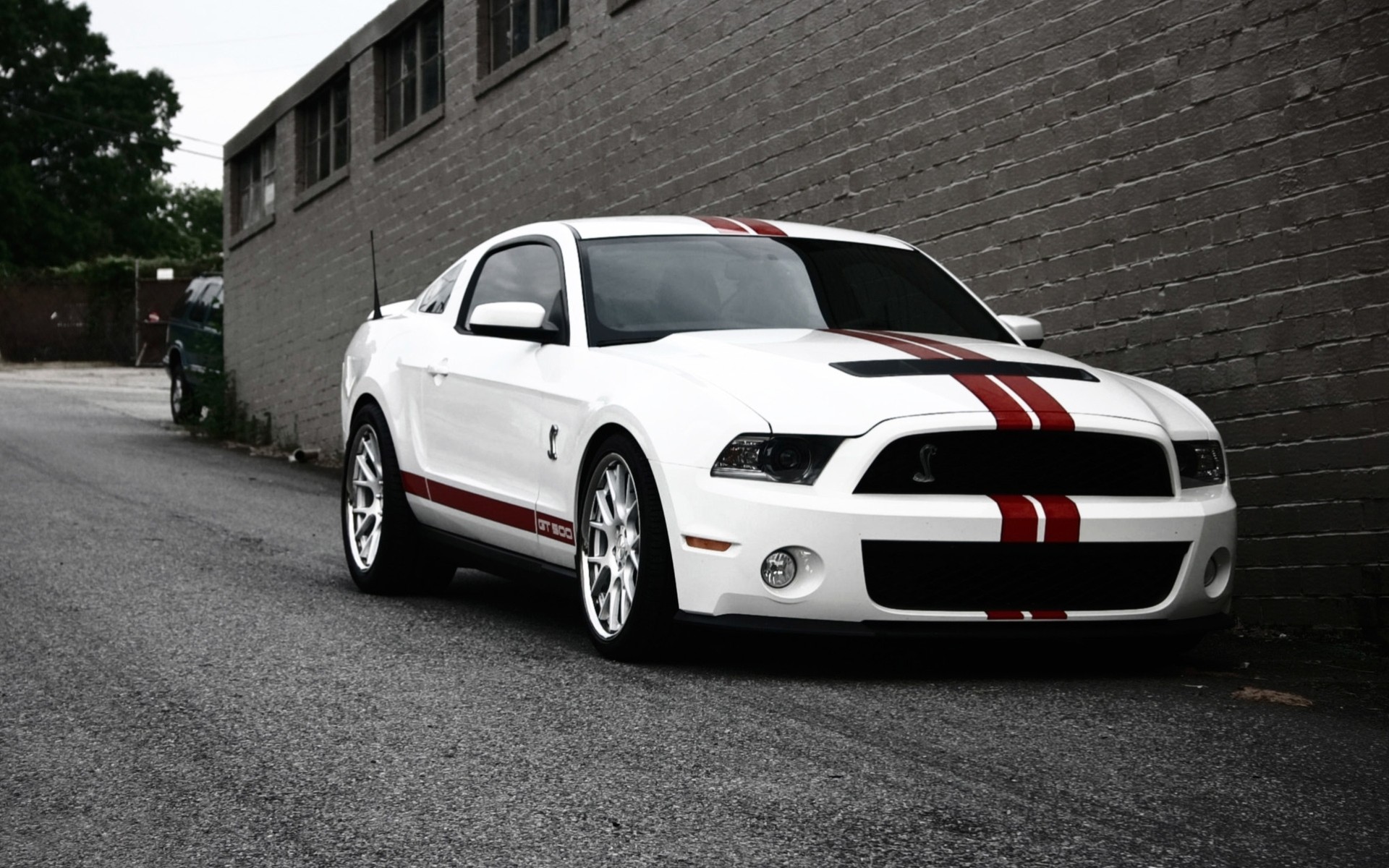 ford mustang auto rosso gt500 veloce bianco shelby