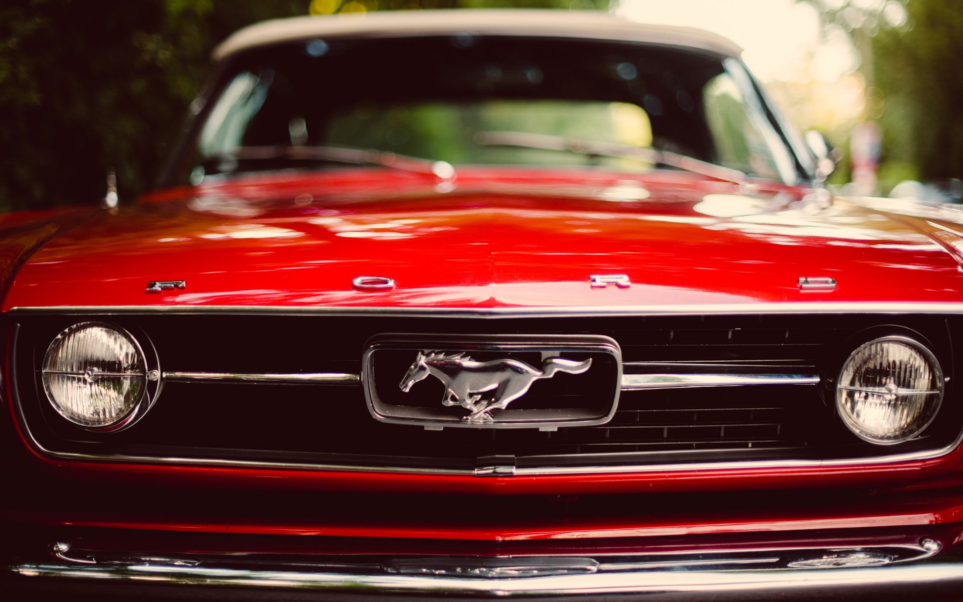 ford mustang classic car