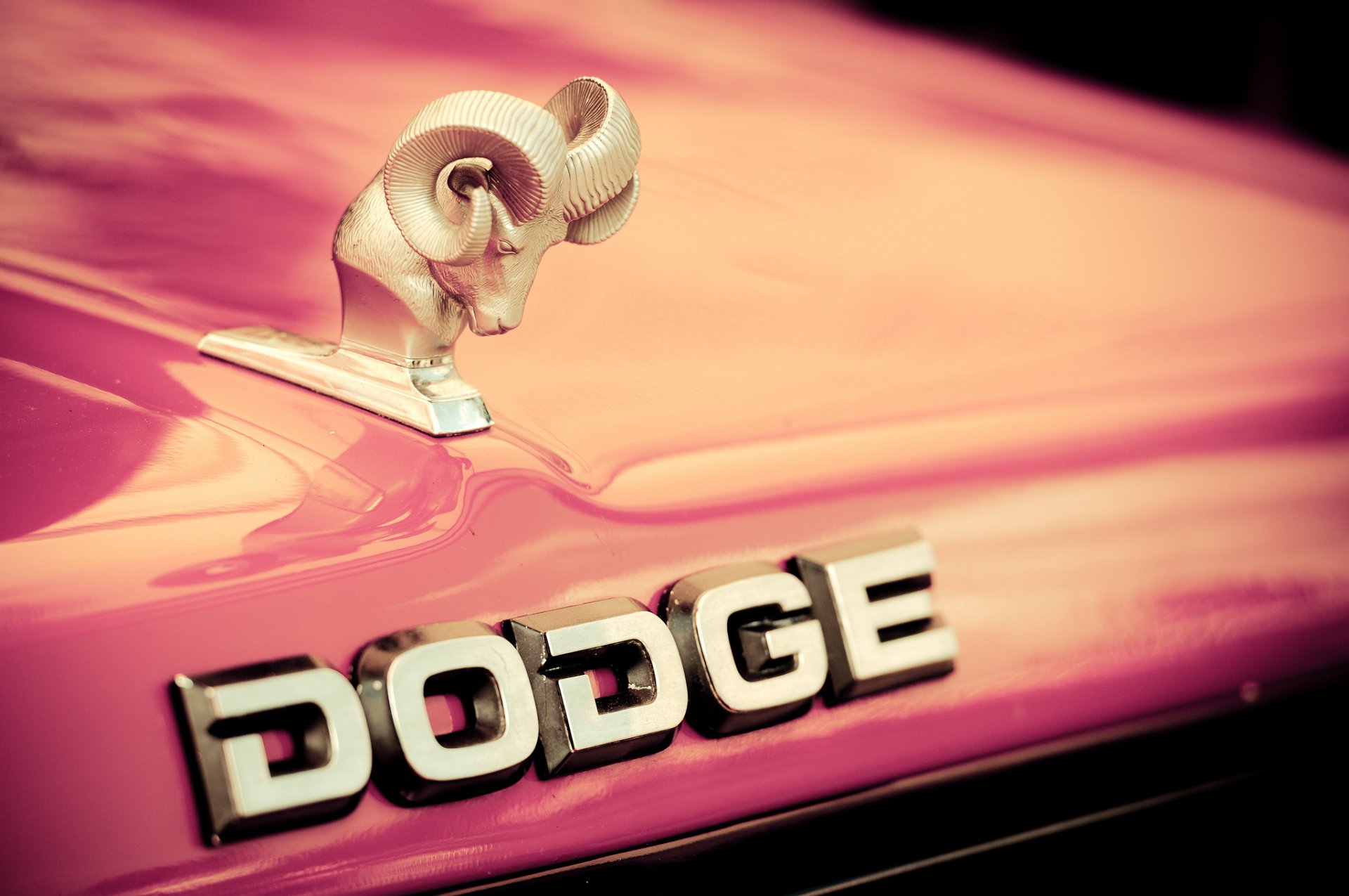 dodge hood emblem logo