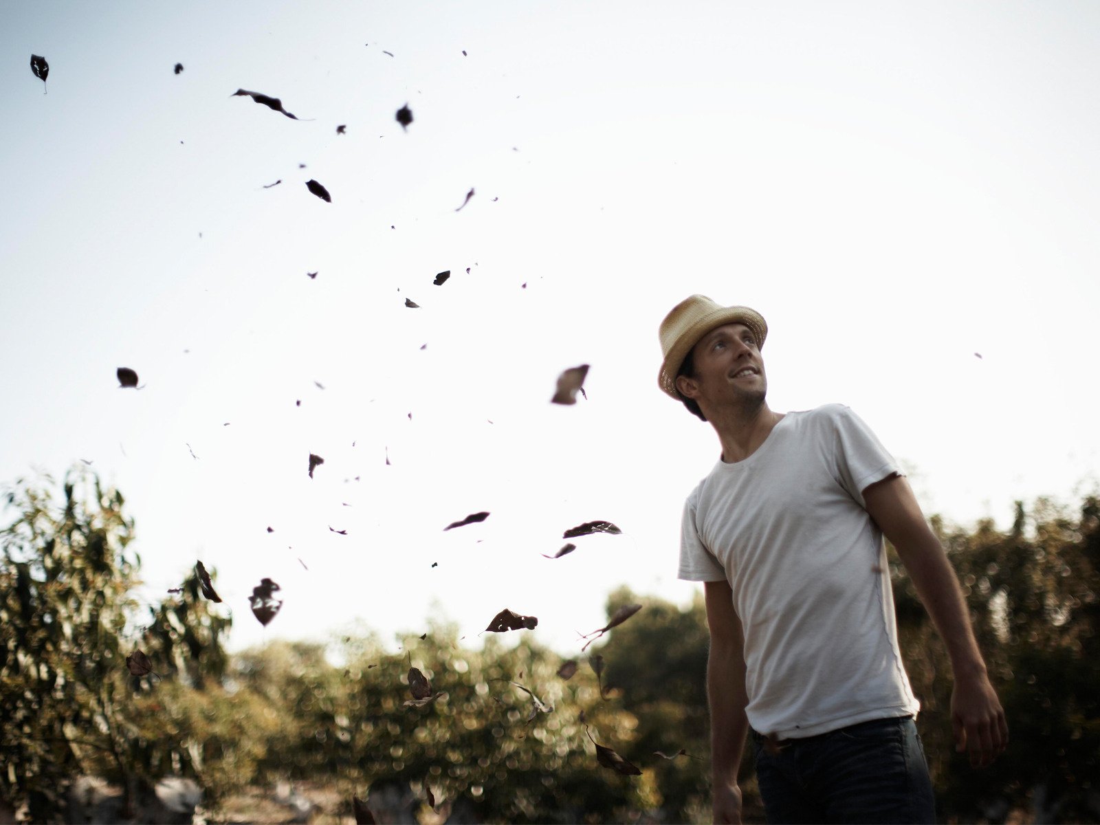 jason mraz sänger kerl laubfall blick in den himmel natur foto hut blätter himmel