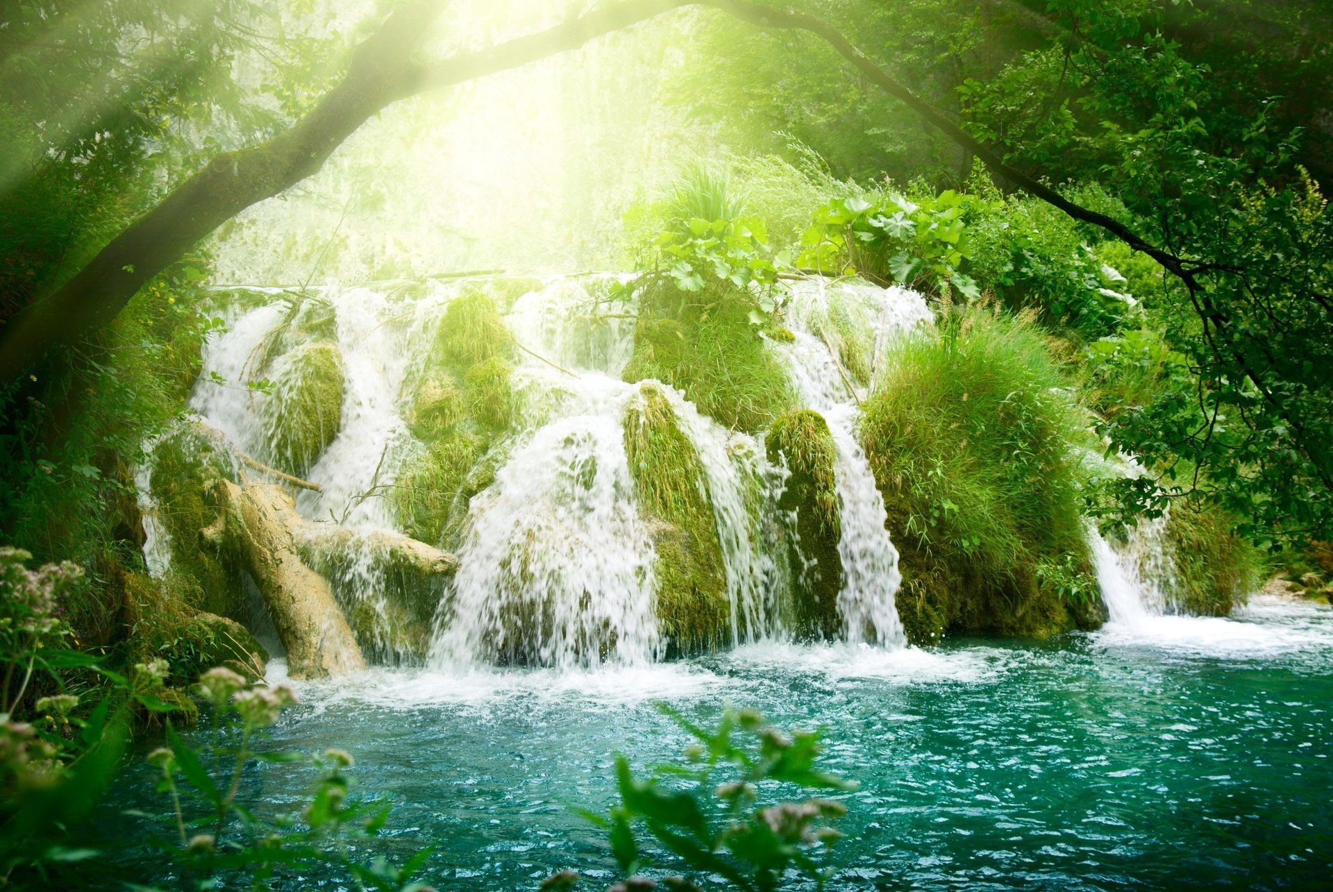 fiori raggi cascata alberi vegetazione sole cascata azzurro fiume foresta erba acqua cascate verde rami raggi del sole